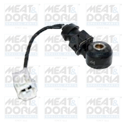 Knock Sensor